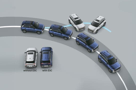 Electronic stability control (ESC) Vehicle stability management (VSM)